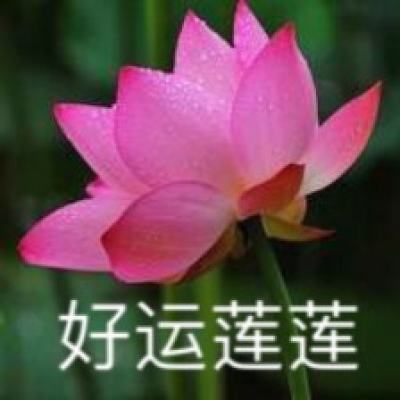奇幻世界英雄破解版下载